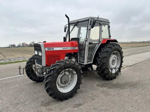 Massey Ferguson 365  technische daten 
