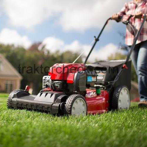 Troy-Bilt TB230  technische daten 